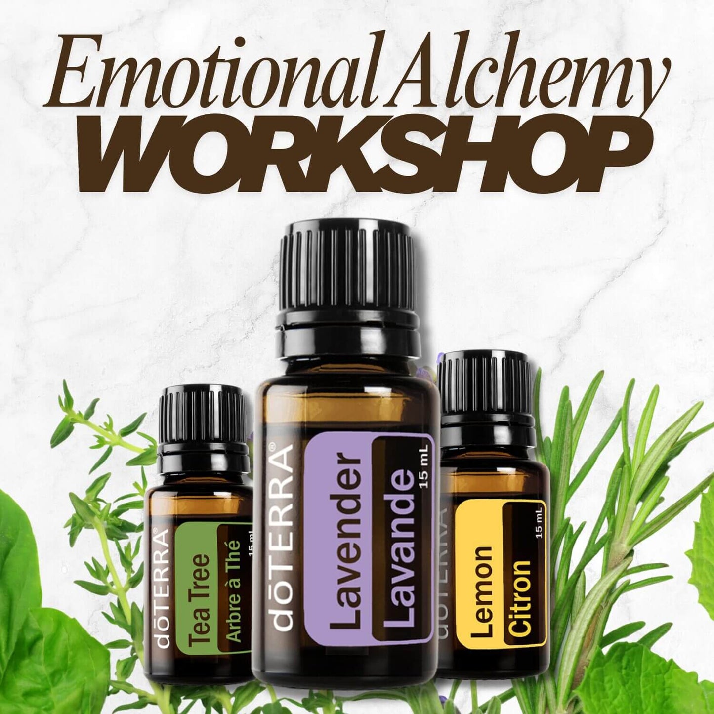 Emotional Alchemy Workshop