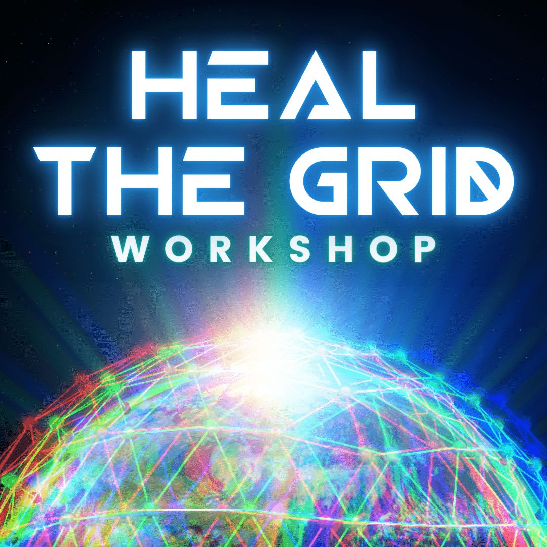 Heal the Grid Workshop